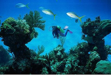 《远征军：罗马》新预告展示可玩角色德伊阿妮拉